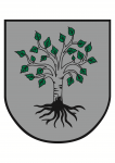 Wappen Glasfaser-Internet in Birkfeld